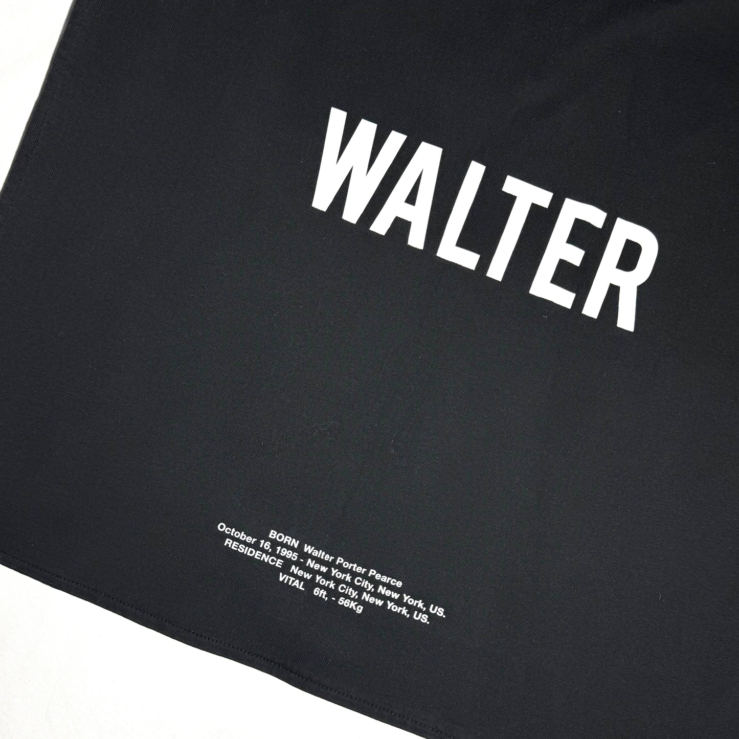 Hood By Air FW16 WALTER casting cape/longsleeve